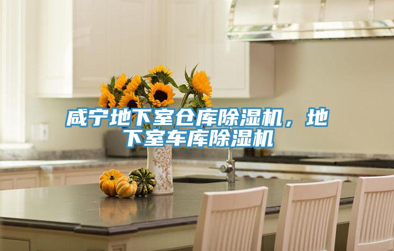 咸寧地下室倉庫除濕機，地下室車庫除濕機