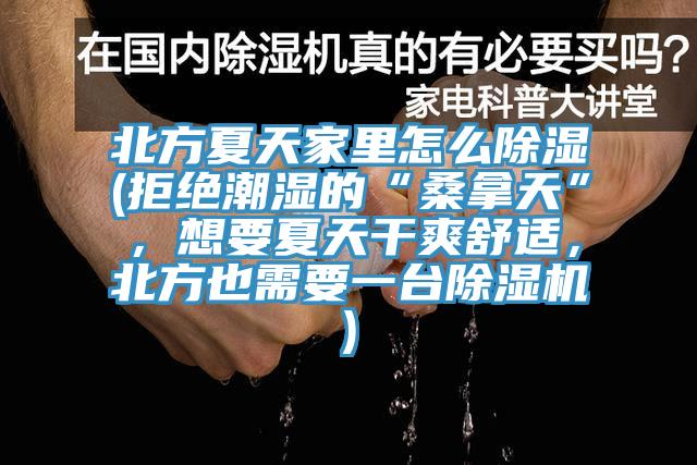 北方夏天家里怎么除濕(拒絕潮濕的“桑拿天”，想要夏天干爽舒適，北方也需要一臺除濕機)