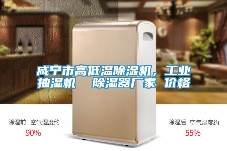 咸寧市高低溫除濕機，工業抽濕機  除濕器廠家 價格