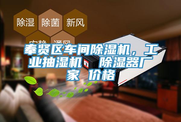 奉賢區車間除濕機，工業抽濕機  除濕器廠家 價格