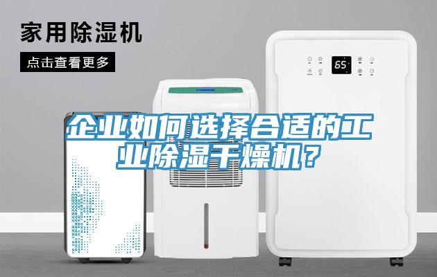 企業如何選擇合適的工業除濕干燥機？