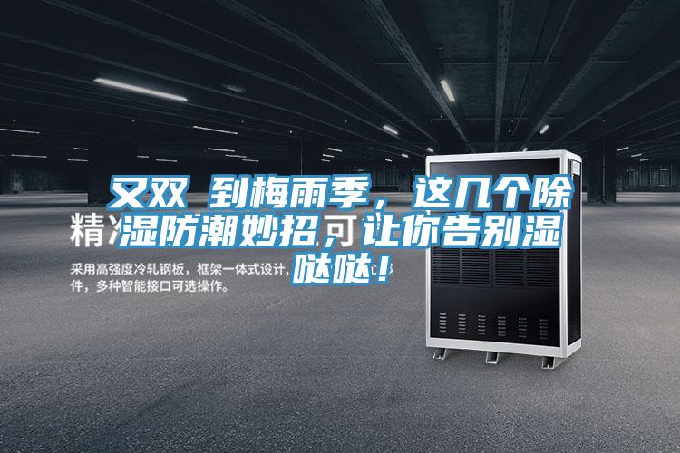 又雙叒到梅雨季，這幾個除濕防潮妙招，讓你告別濕噠噠！