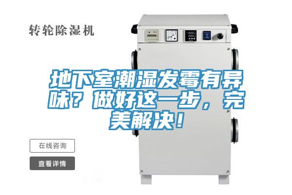 地下室潮濕發霉有異味？做好這一步，完美解決！