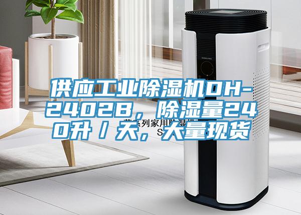 供應工業除濕機DH-2402B，除濕量240升／天，大量現貨