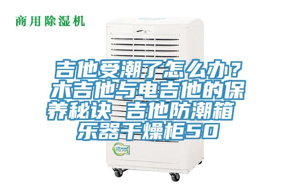 吉他受潮了怎么辦？木吉他與電吉他的保養秘訣 吉他防潮箱 樂器干燥柜50