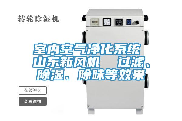 室內空氣凈化系統 山東新風機  過濾、除濕、除味等效果