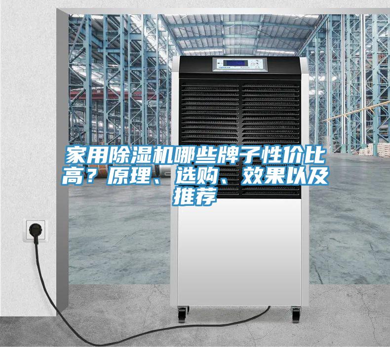 家用除濕機哪些牌子性價比高?原理、選購、效果以及推薦
