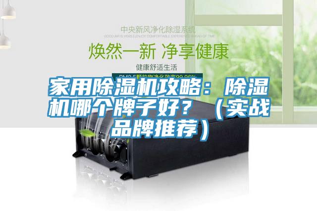 家用除濕機攻略:除濕機哪個牌子好?(實戰品牌推薦)