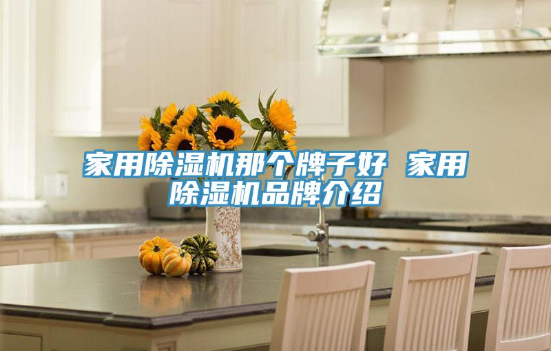 家用除濕機(jī)那個牌子好 家用除濕機(jī)品牌介紹