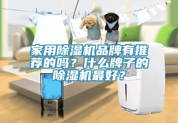 家用除濕機(jī)品牌有推薦的嗎？什么牌子的除濕機(jī)最好？