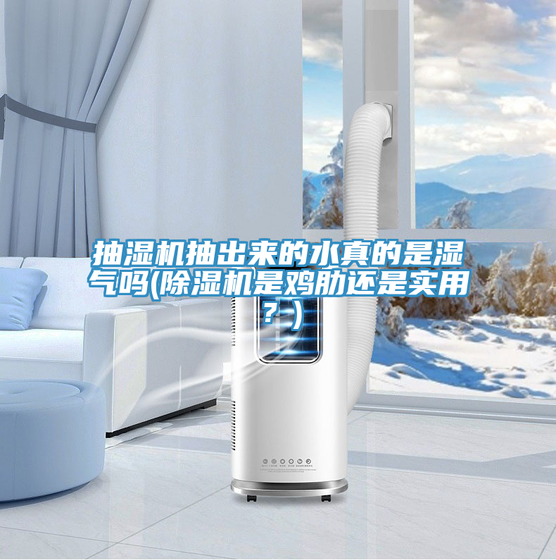 抽濕機(jī)抽出來的水真的是濕氣嗎(除濕機(jī)是雞肋還是實(shí)用？)