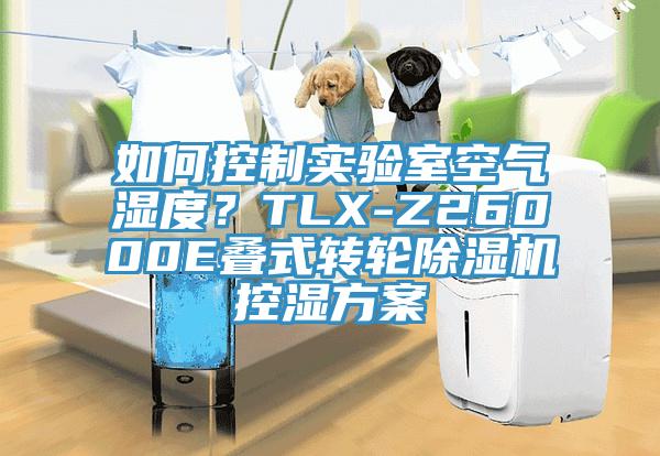 如何控制實驗室空氣濕度?TLX-Z26000E疊式轉(zhuǎn)輪除濕機控濕方案