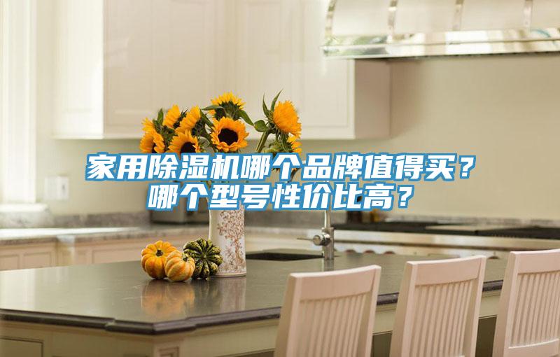 家用除濕機(jī)哪個(gè)品牌值得買？哪個(gè)型號性價(jià)比高？