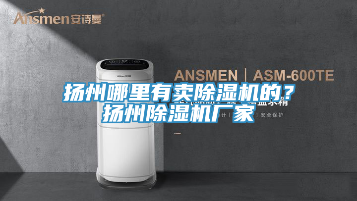 揚(yáng)州哪里有賣除濕機(jī)的?揚(yáng)州除濕機(jī)廠家