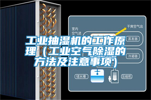 工業(yè)抽濕機(jī)的工作原理（工業(yè)空氣除濕的方法及注意事項）