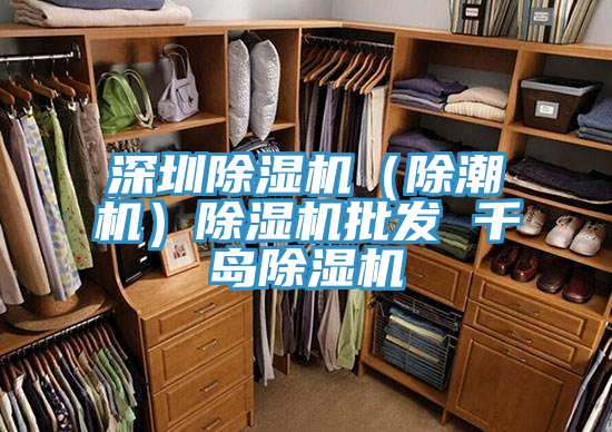 深圳除濕機(除潮機)除濕機批發(fā) 千島除濕機