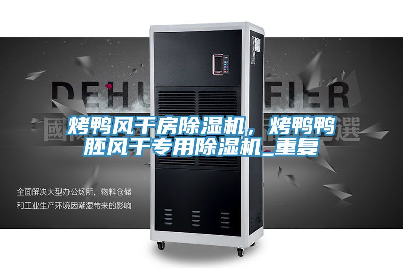 烤鴨風干房除濕機，烤鴨鴨胚風干專用除濕機_重復