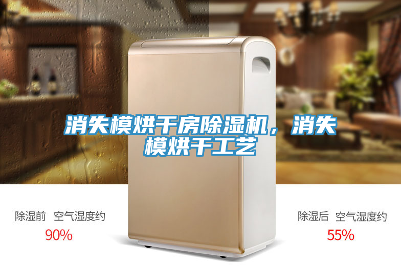 消失模烘干房除濕機,消失模烘干工藝