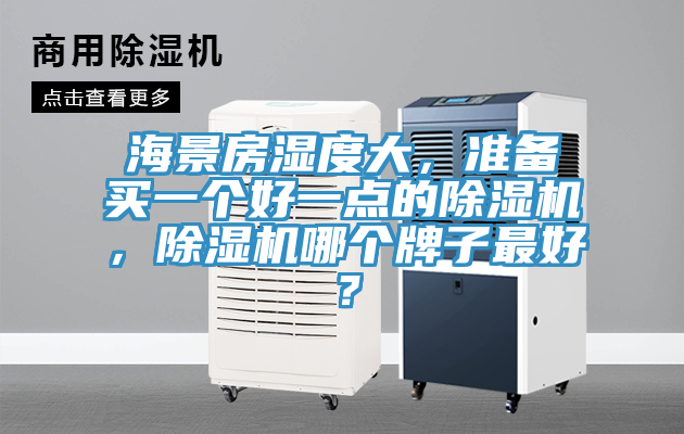 海景房濕度大，準備買一個好一點的除濕機，除濕機哪個牌子最好？
