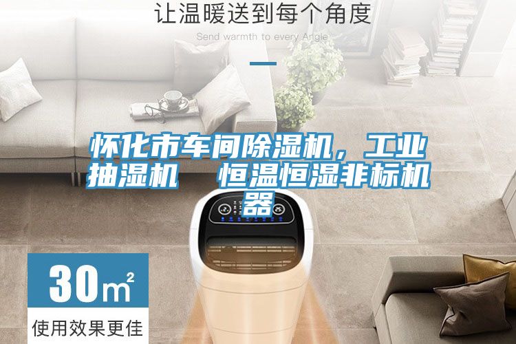 懷化市車間除濕機，工業(yè)抽濕機  恒溫恒濕非標機器