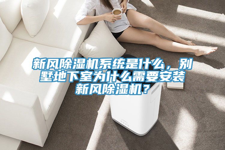 新風除濕機系統是什么，別墅地下室為什么需要安裝新風除濕機？