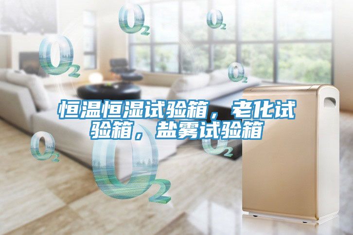 恒溫恒濕試驗箱，老化試驗箱，鹽霧試驗箱