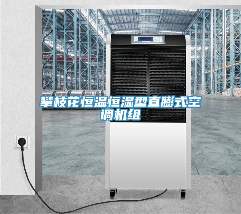 攀枝花恒溫恒濕型直膨式空調(diào)機(jī)組