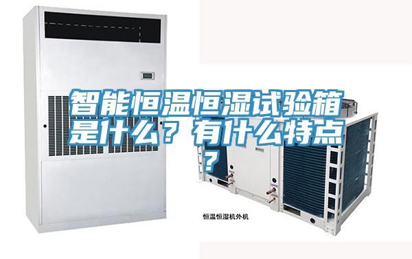 智能恒溫恒濕試驗箱是什么？有什么特點？