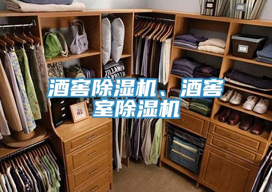 酒窖除濕機、酒窖室除濕機