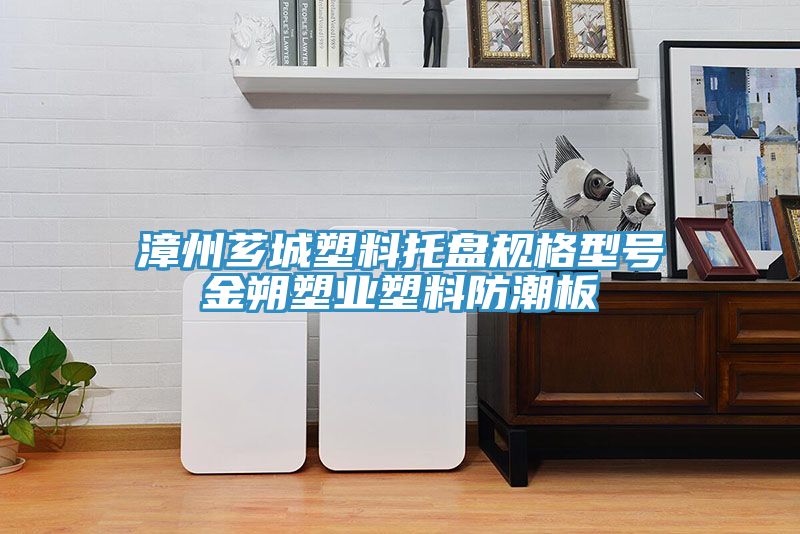 漳州薌城塑料托盤(pán)規(guī)格型號(hào)金朔塑業(yè)塑料防潮板