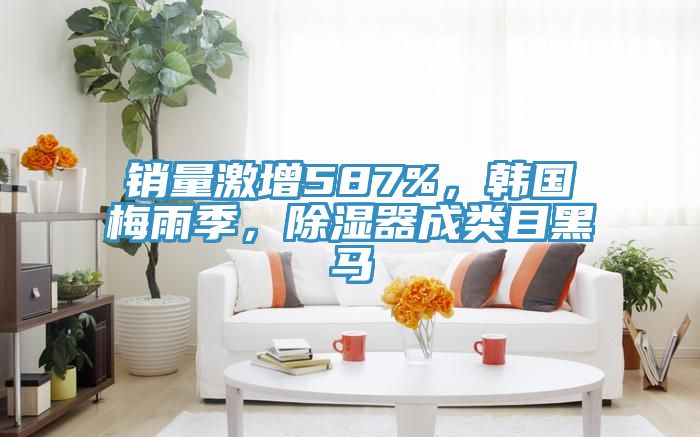 銷量激增587%，韓國梅雨季，除濕器成類目黑馬