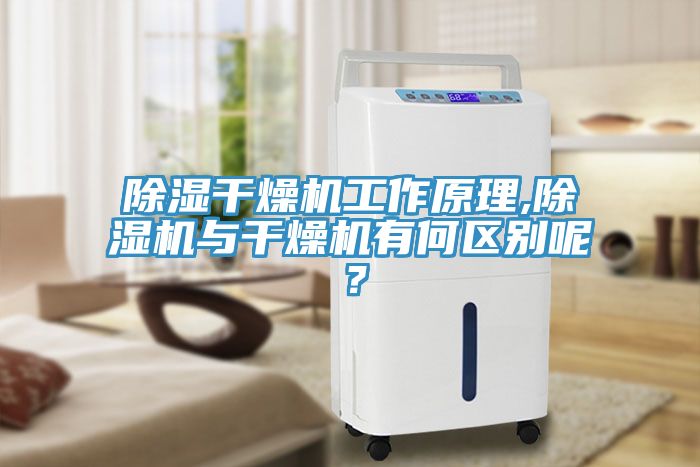 除濕干燥機工作原理,除濕機與干燥機有何區別呢？