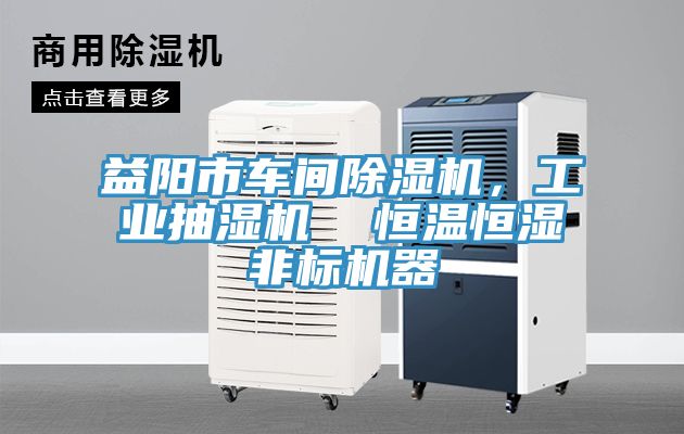 益陽(yáng)市車間除濕機(jī)，工業(yè)抽濕機(jī)  恒溫恒濕非標(biāo)機(jī)器