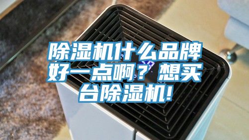 除濕機(jī)什么品牌好一點(diǎn)啊?想買(mǎi)臺(tái)除濕機(jī)!