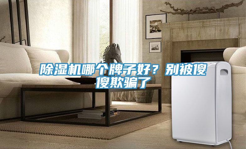 除濕機哪個牌子好？別被傻傻欺騙了