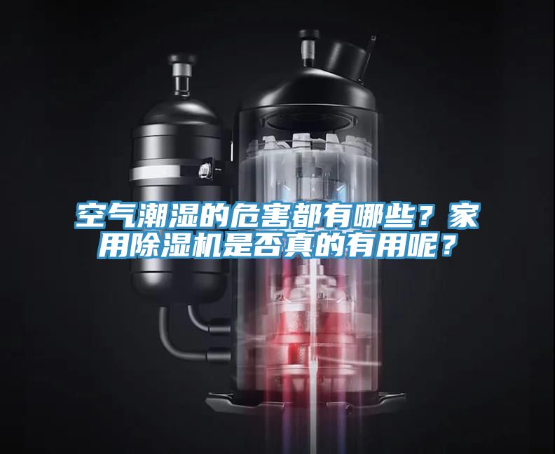 空氣潮濕的危害都有哪些？家用除濕機(jī)是否真的有用呢？