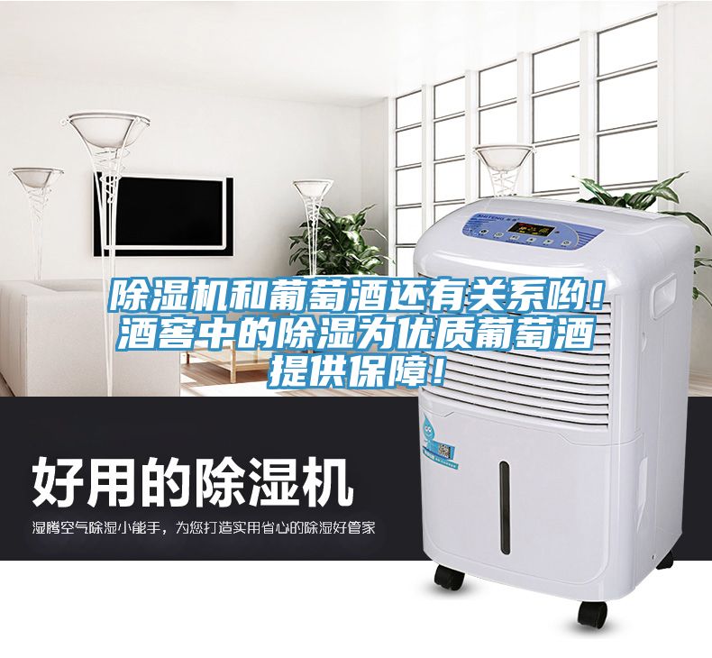 除濕機(jī)和葡萄酒還有關(guān)系喲！酒窖中的除濕為優(yōu)質(zhì)葡萄酒提供保障！