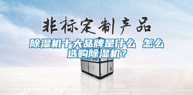 除濕機(jī)十大品牌是什么 怎么選購(gòu)除濕機(jī)?
