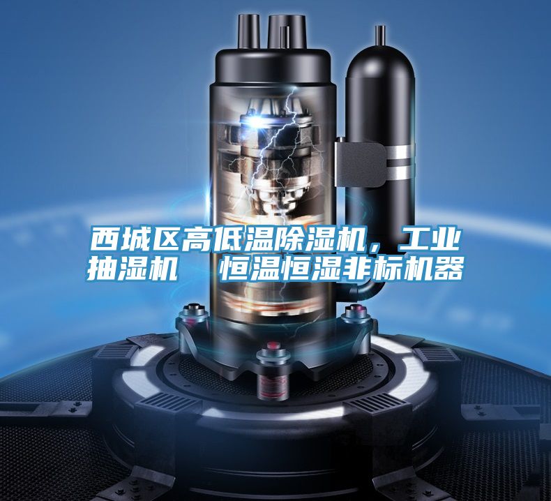 西城區高低溫除濕機，工業抽濕機  恒溫恒濕非標機器