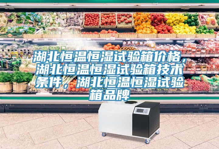 湖北恒溫恒濕試驗箱價格，湖北恒溫恒濕試驗箱技術條件，湖北恒溫恒濕試驗箱品牌