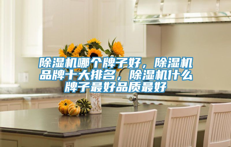 除濕機(jī)哪個(gè)牌子好，除濕機(jī)品牌十大排名，除濕機(jī)什么牌子最好品質(zhì)最好