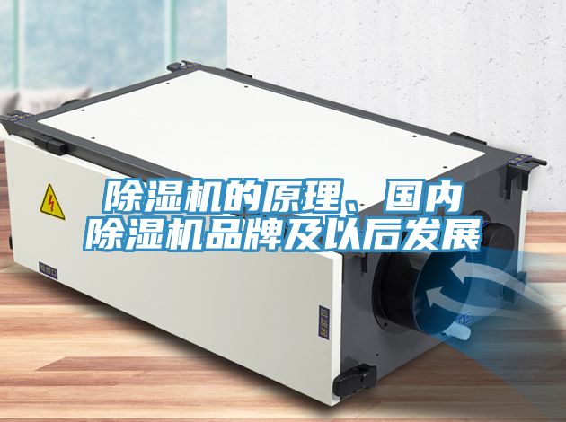 除濕機的原理、國內除濕機品牌及以后發展