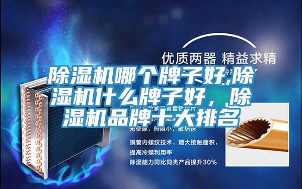 除濕機哪個牌子好,除濕機什么牌子好，除濕機品牌十大排名