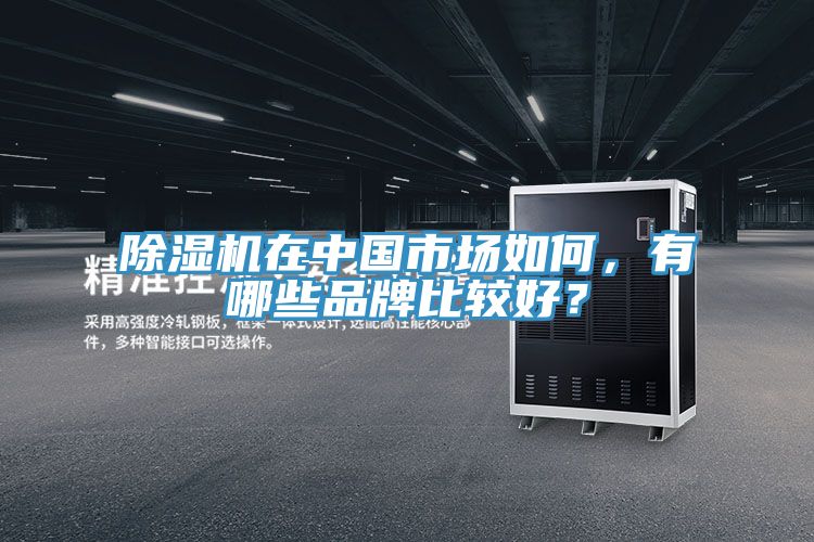 除濕機在中國市場如何，有哪些品牌比較好？