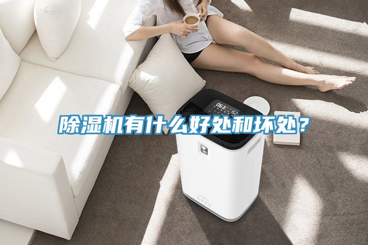 除濕機有什么好處和壞處？